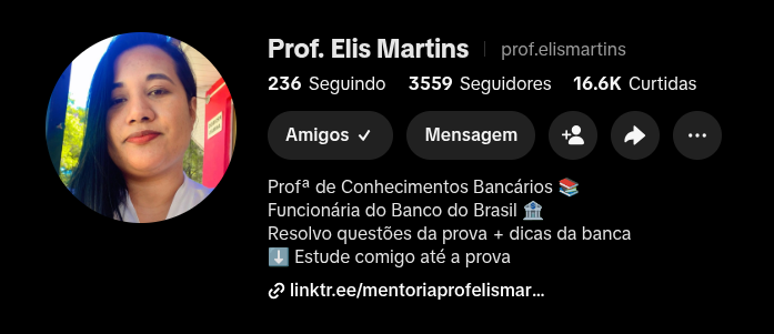 Perfil da Prof. Elis Martins no TikTok com 3.559 seguidores e 16,6 mil curtidas